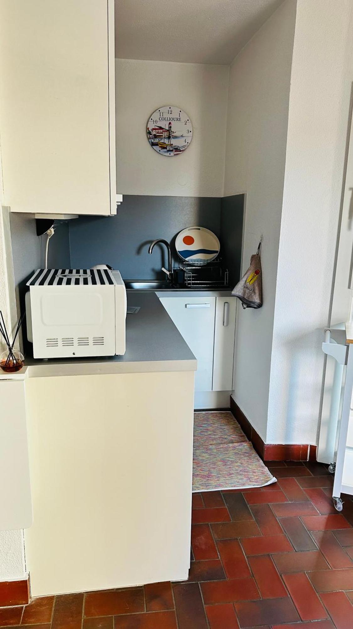 Apartamento Saint-cyprien Port Saint-Cyprien (Pyrenees-Orientales)